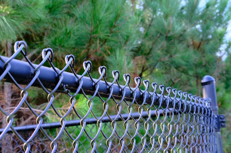 Galvanized Chain Link Fence