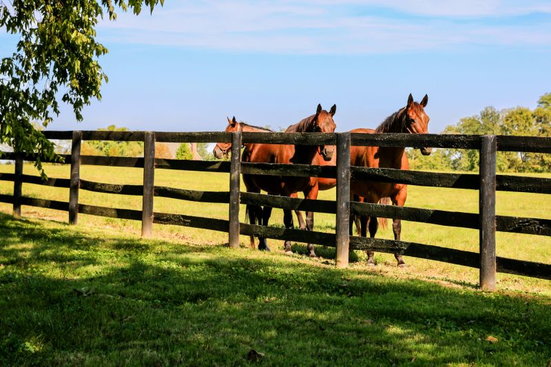 Ranch-Style Farm Fence